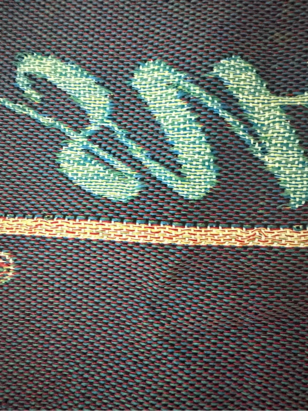 NHL Florida Panthers Stanley Cup Champions Throw Blanket with fringe